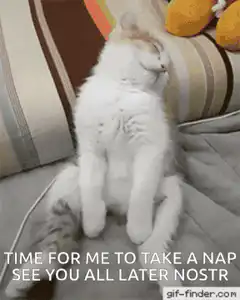 Sleepy cat falls over