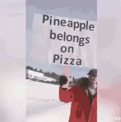 Pineapple belongs on Pizza sign