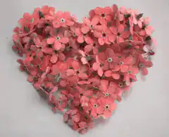 Heart shaped flowers changing colors