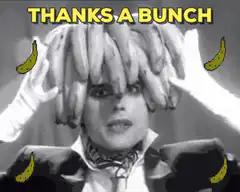 Thanks a bunch banana hair