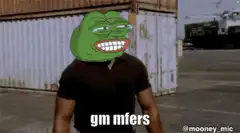 Pepe the Frog saying gm mfers