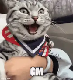 Excited Cat Saying GM