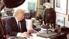 Donald Trump and eagle