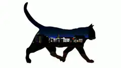 Walking cat silhouette with cityscape