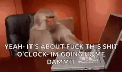 Monkey at laptop yeah it's about fuck this shit o'clock