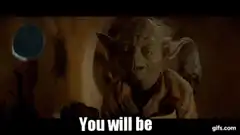 Yoda You Will Be Will