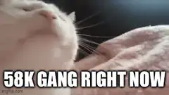 58k gang right now cat