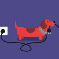 Dog gets electrocuted by plug