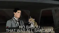 Batman and Cat Sarcasm