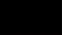 ZXX logo animation
