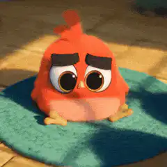 Sad Angry Bird on a rug
