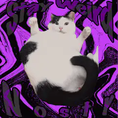 Spinning cat with teeth border