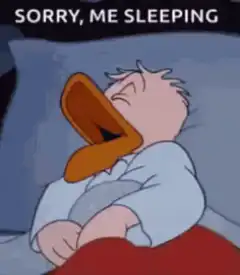 Donald Duck Sorry Me Sleeping