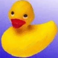 yellow rubber duck bobbing