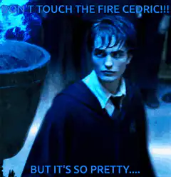 Cedric Diggory touches the blue fire