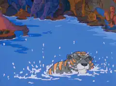 Tiger swimming and diving underwater