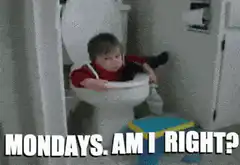 Baby in toilet Mondays am I right