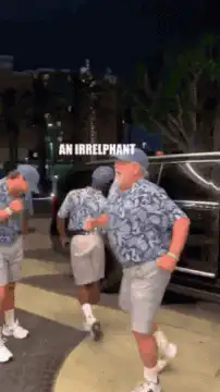 An Irrelphant dancing in the street