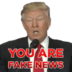 Donald Trump You Are Fake News