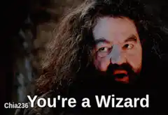 Hagrid You're a Wizard