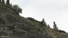car flying off cliff