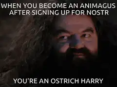 You're an Ostrich Harry Meme