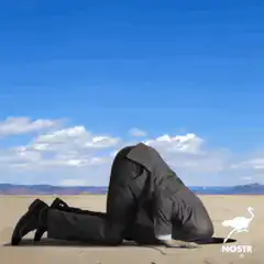 Social media platforms facepalm like Nostr