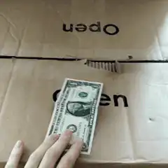 Cat steals dollar bill from box