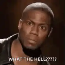 Kevin Hart What The Hell