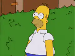 Homer Simpson falls over