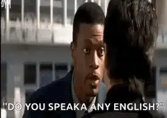 Do You Speaka Any English