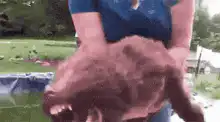 person shaking a screaming brown dog
