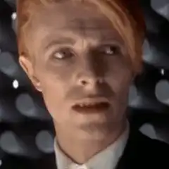 David Bowie confused face