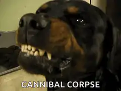 Rottweiler showing teeth with Cannibal Corpse text