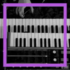Synth Survival Guide on Homegrown Hits