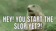 Groundhog Hey You Start The Slop Yet