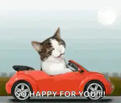 Happy Cat in Red Car