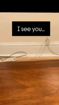 Cat pops up and down behind floor
