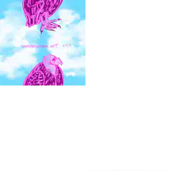 Pink vultures in clouds