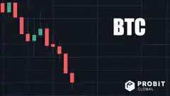 BTC price chart crash