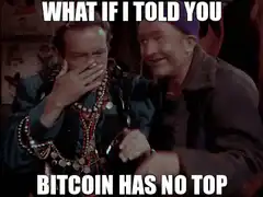 What if I told you Bitcoin has no top