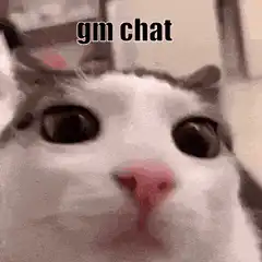gm chat cat