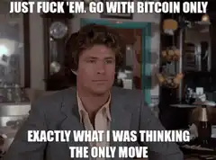 David Hasselhoff Bitcoin Only