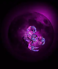 glowing purple scorpion on moon