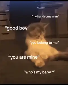 cute kitten with affectionate text