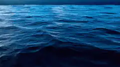 Blue ocean waves at night