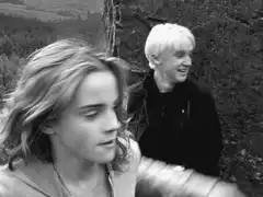 Hermione punches Draco Malfoy