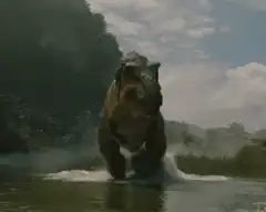 T-Rex running through water