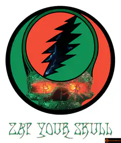 Bitcoin Skull Zap Your Skull