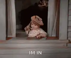 Baby falls out of window